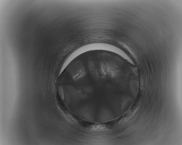 X0000116870451200912291323