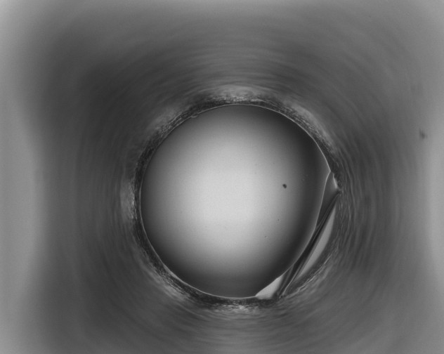 X0000116870453200912291323