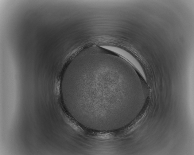 X0000116870454200912291323