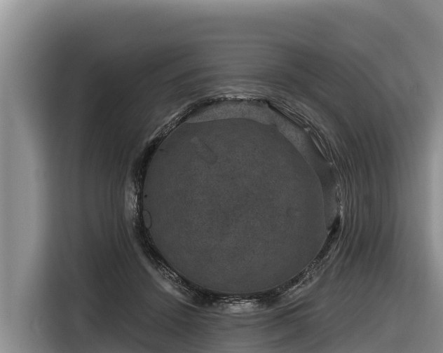 X0000116870456200912291323