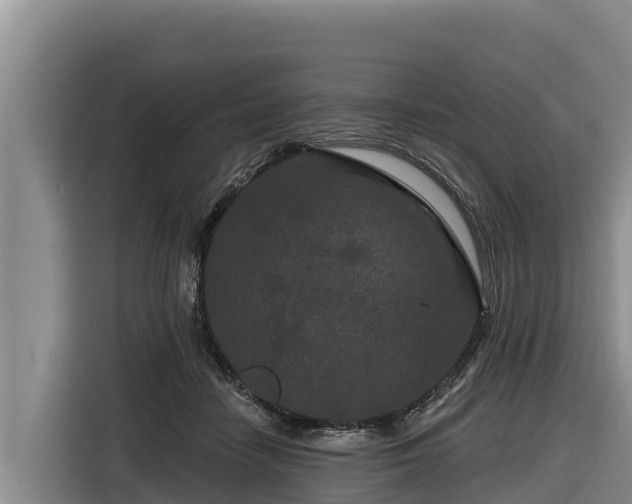 X0000116870458200912291323