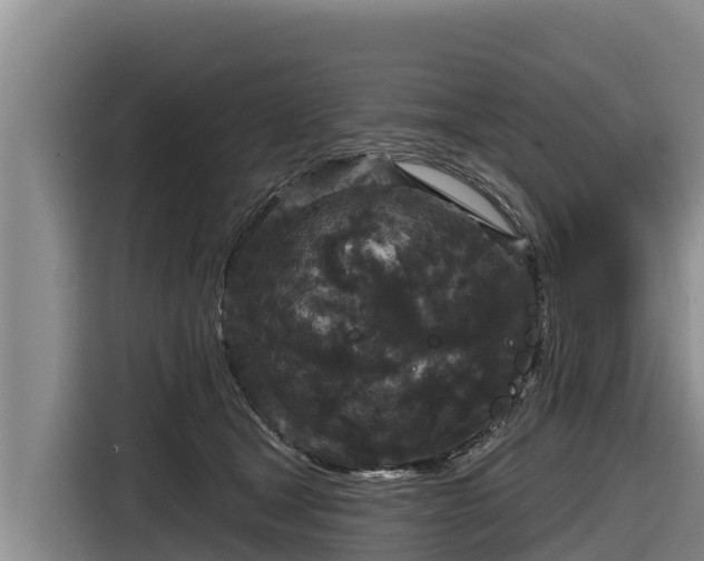 X0000116870465200912291323
