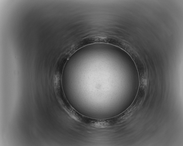 X0000116870468200912291323