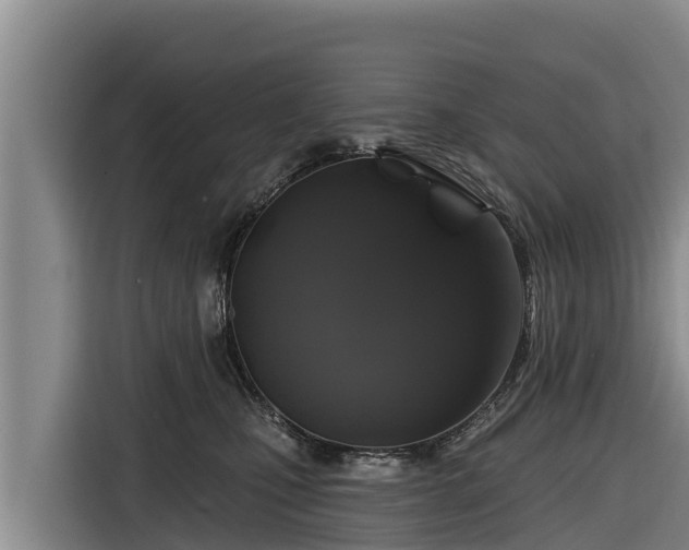 X0000116870471200912291323