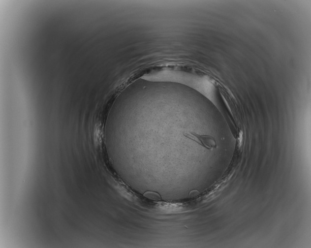 X0000116870476200912291323