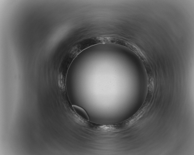 X0000116870477200912291323