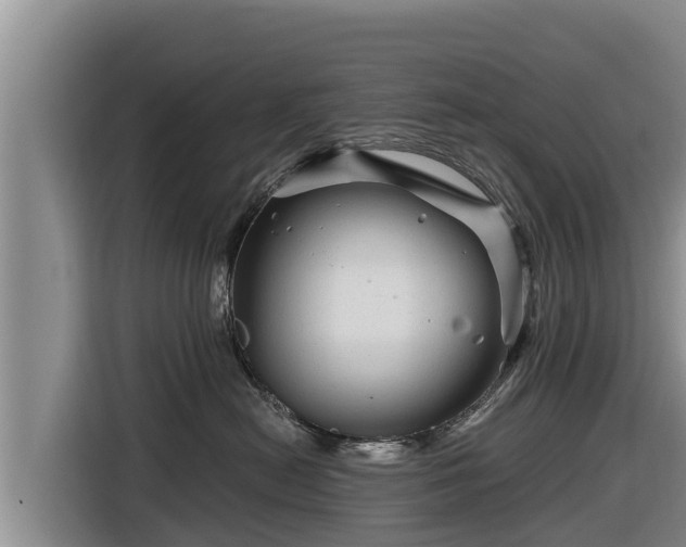 X0000116870478200912291323