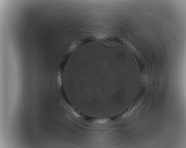 X0000116870479200912291323