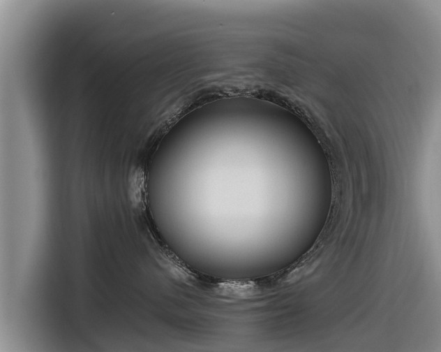 X0000116870480200912291323