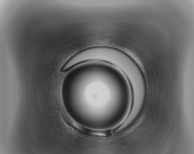 X0000116870481200912291322