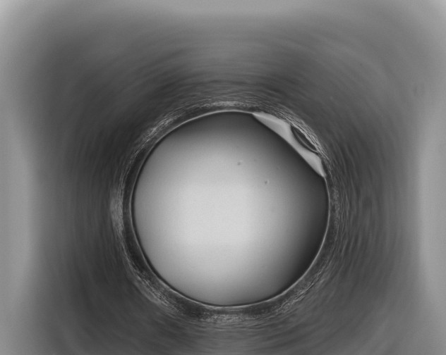 X0000116870482200912291322
