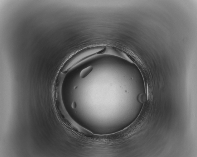X0000116870483200912291322
