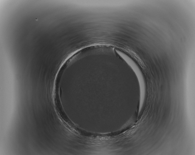 X0000116870484200912291322