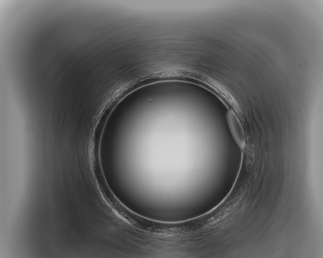 X0000116870485200912291322