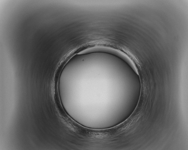 X0000116870486200912291322
