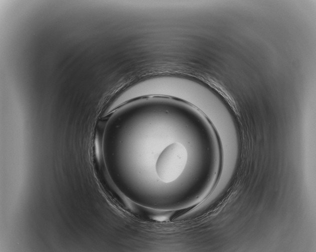 X0000116870489200912291322