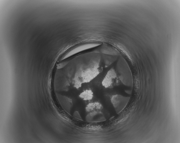 X0000116870491200912291322