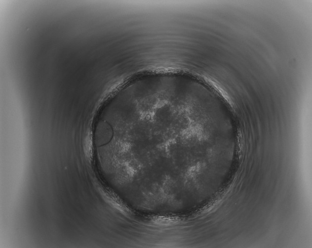 X0000116870494200912291322
