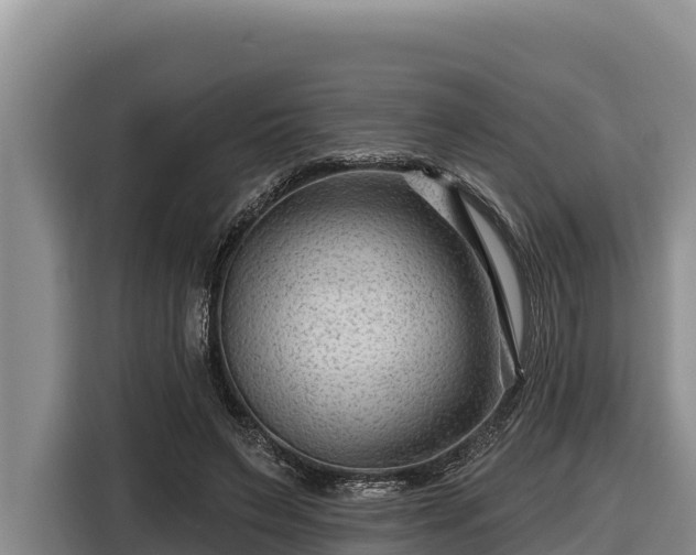 X0000116870495200912291322