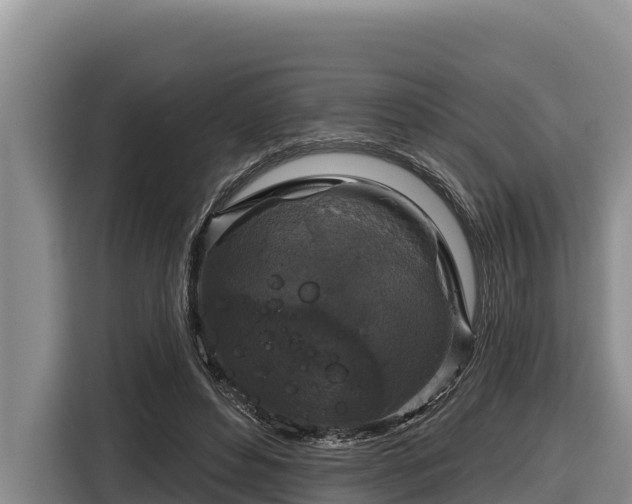 X0000116870496200912291322