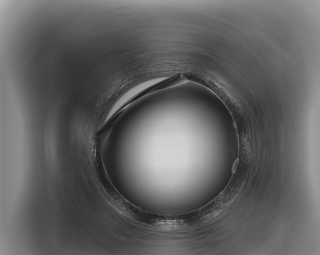 X0000116870499200912291322