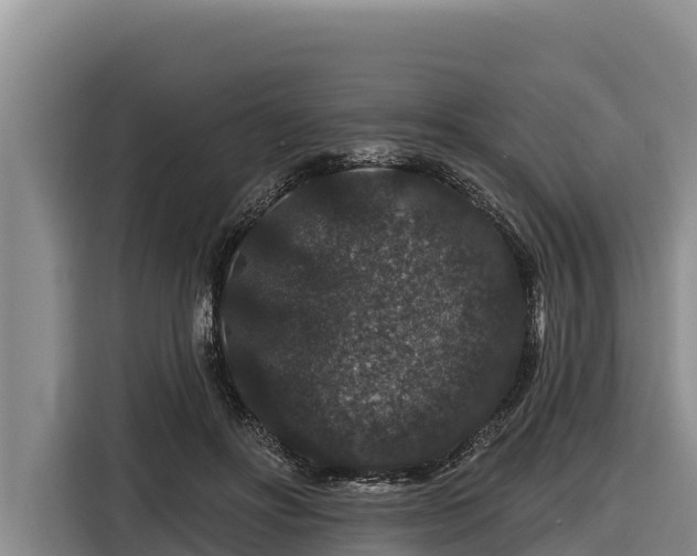 X0000116870502200912291322