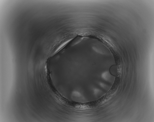 X0000116870503200912291322