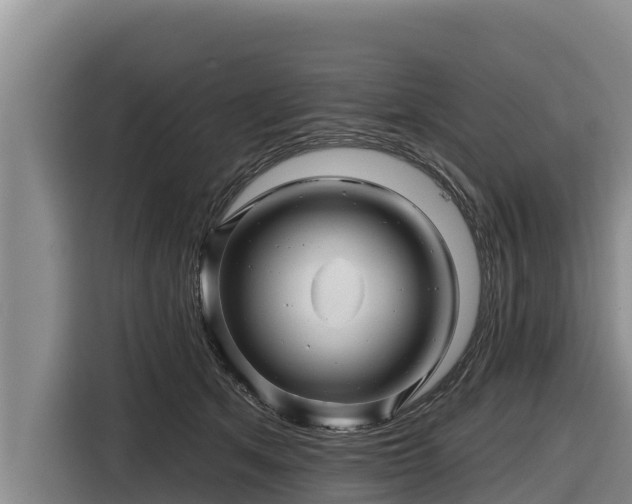 X0000116870513200912291322