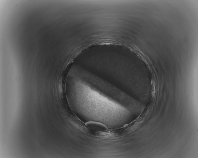 X0000116870516200912291322