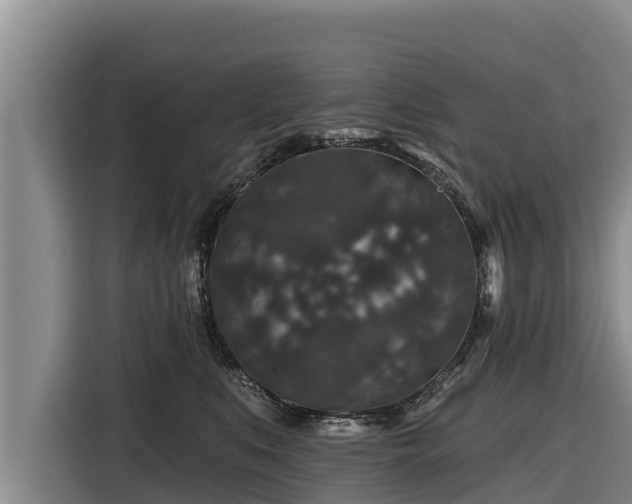 X0000116870519200912291322