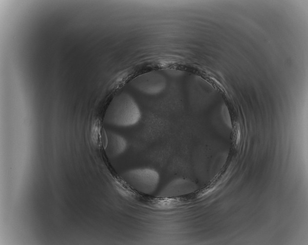 X0000116870527200912291322