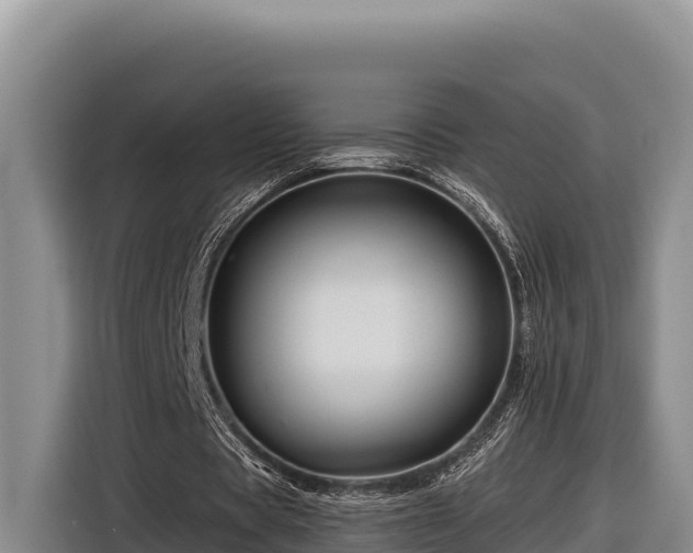 X0000116870529200912291321
