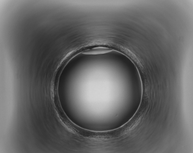 X0000116870530200912291321