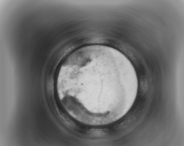 X0000116870534200912291321