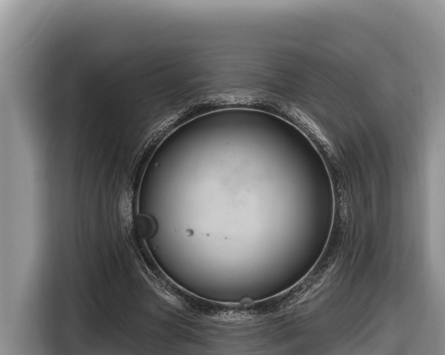 X0000116870537200912291321