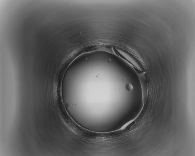X0000116870538200912291321
