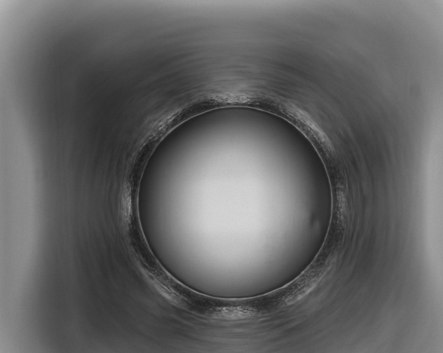 X0000116870541200912291321