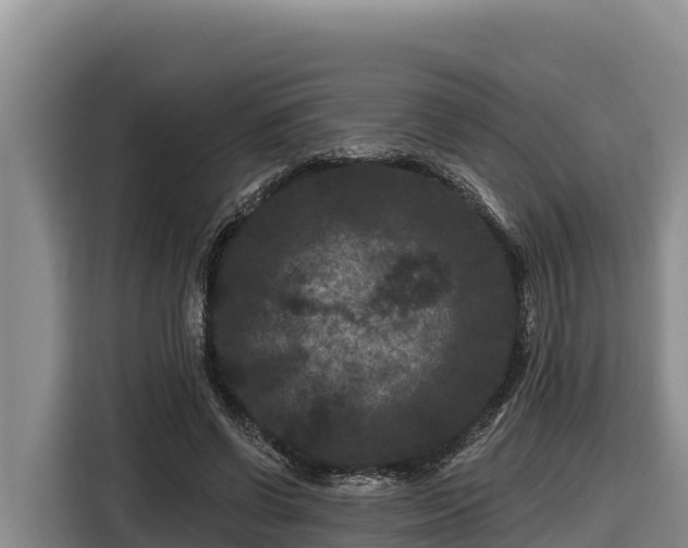 X0000116870542200912291321