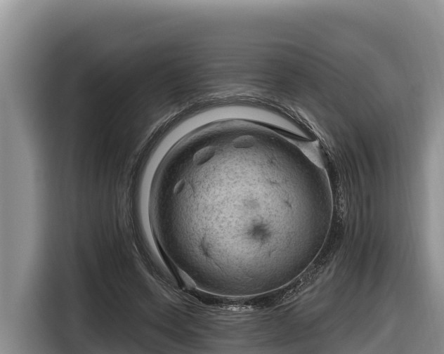 X0000116870543200912291321