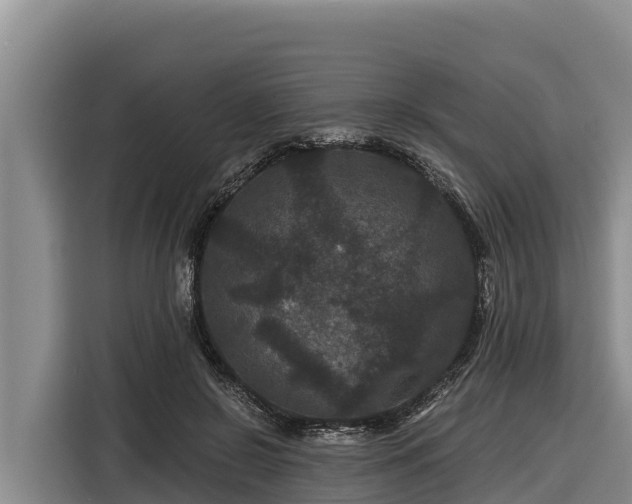 X0000116870550200912291321