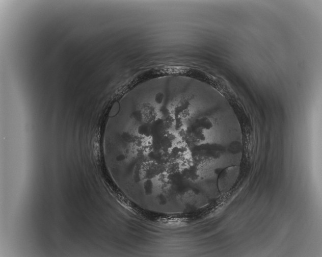 X0000116870553200912291322