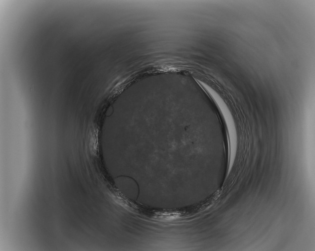 X0000116870554200912291322