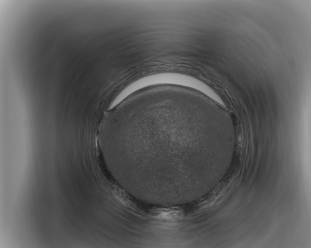 X0000116870555200912291322