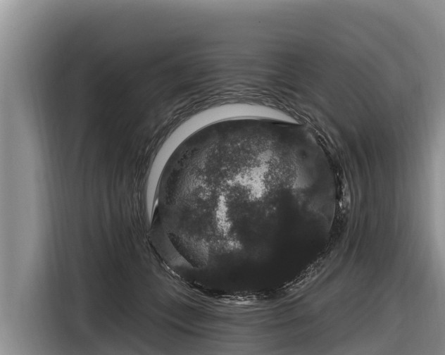 X0000116870559200912291322