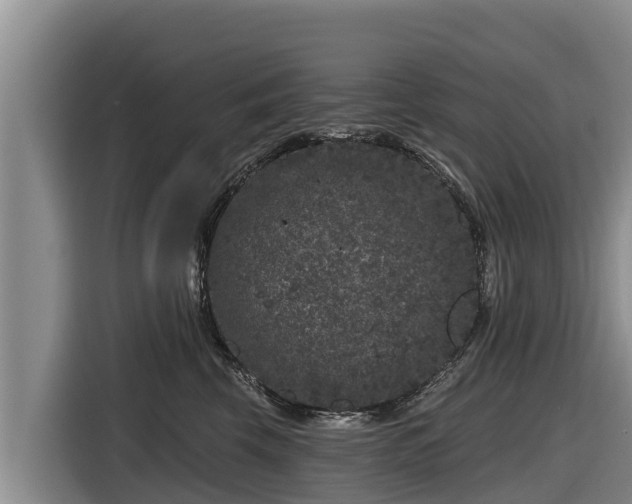 X0000116870569200912291322