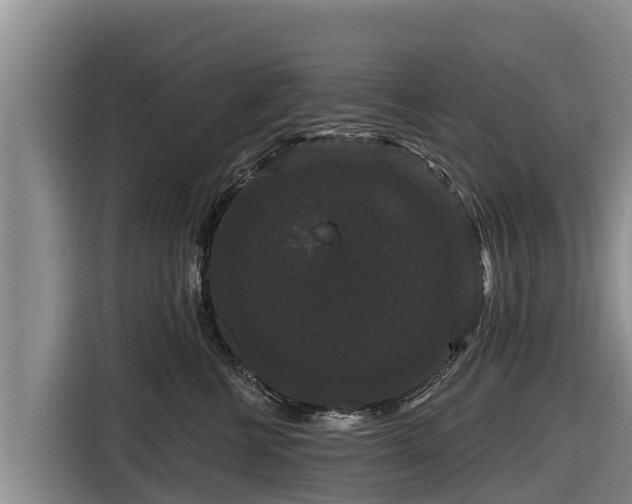 X0000116870570200912291322