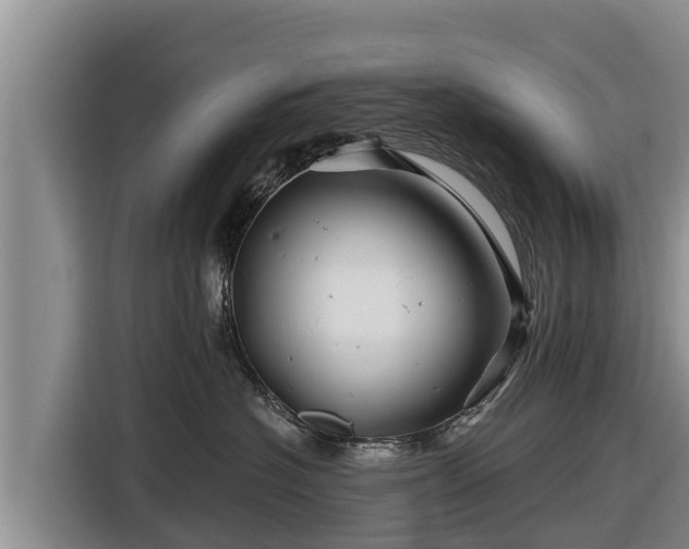 X0000116870574200912291322