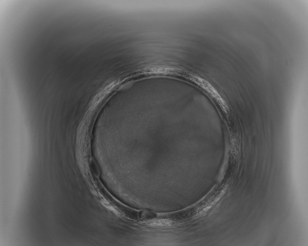 X0000116870577200912291321
