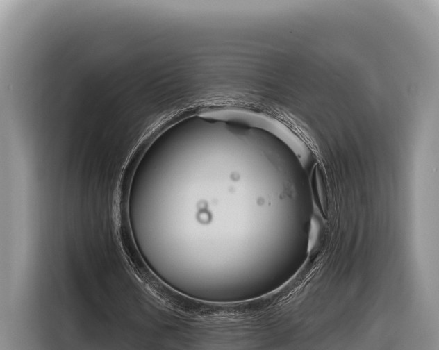 X0000116870578200912291321