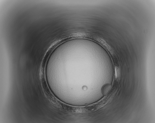 X0000116870579200912291321